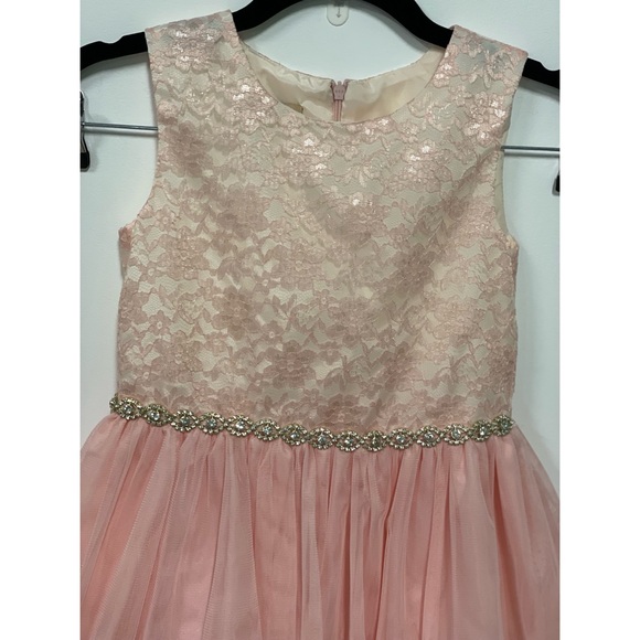 Girls Purple Rose Sleeveless Tulle Skirt Dress Prink Size 7 - Picture 2 of 6